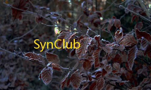 竞速卡网加速器SynClub